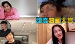 沈腾家族爆料视频播放,揭秘明星家族背后的故事